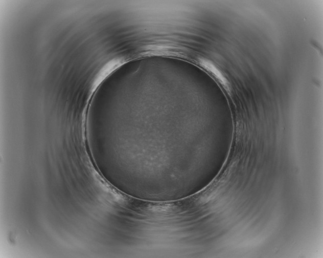 X0000091291386200708171335