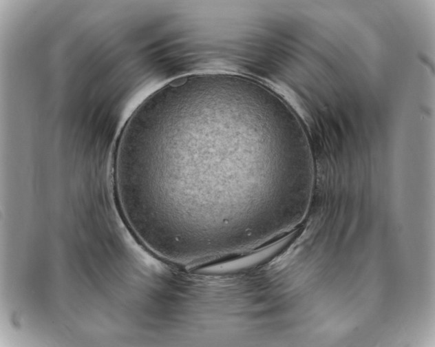 X0000091291387200708171335