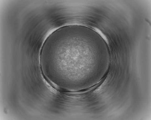 X0000091291388200708171335