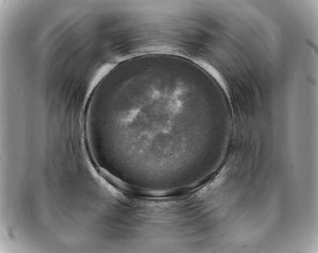 X0000091291389200708171335