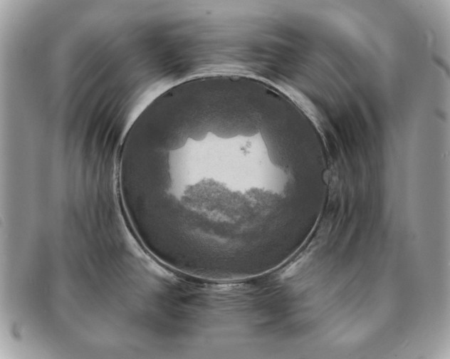 X0000091291390200708171335