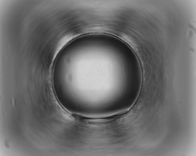 X0000091291392200708171335