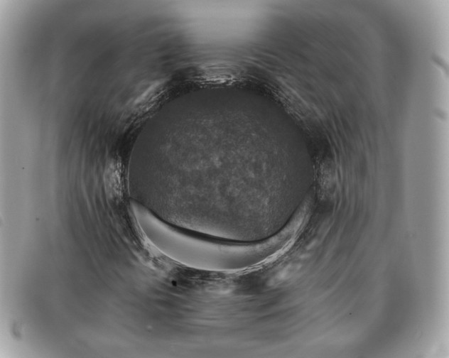 X0000091291394200708171334