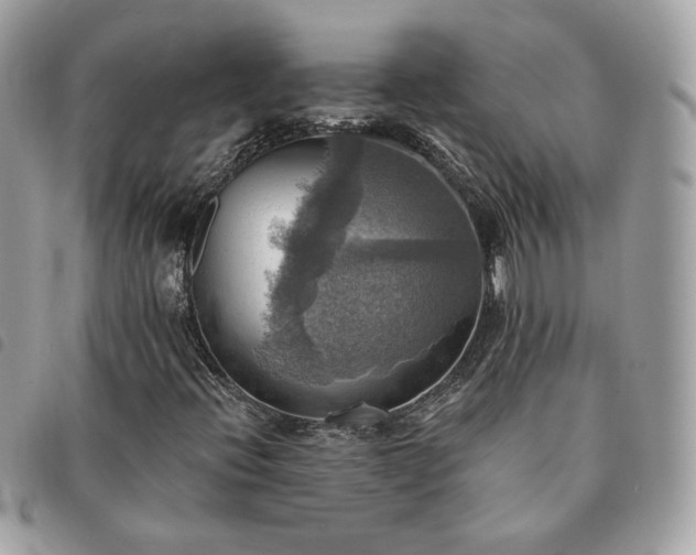 X0000091291396200708171334