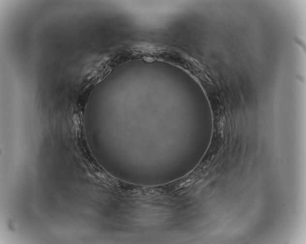 X0000091291397200708171334