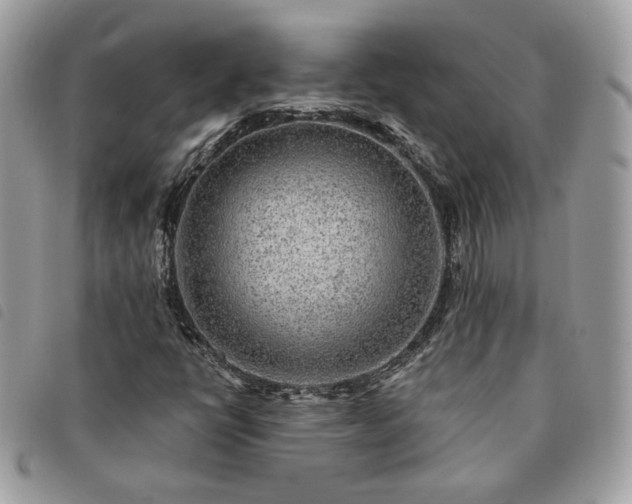 X0000091291398200708171334