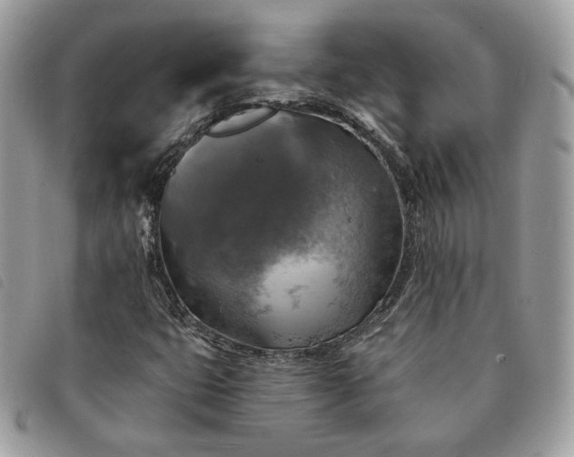 X0000091291399200708171334