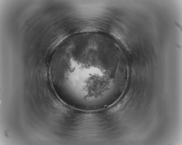 X0000091291401200708171334