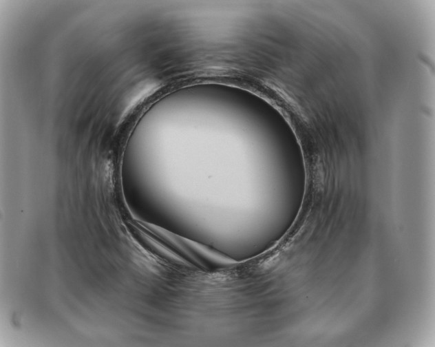 X0000091291402200708171334