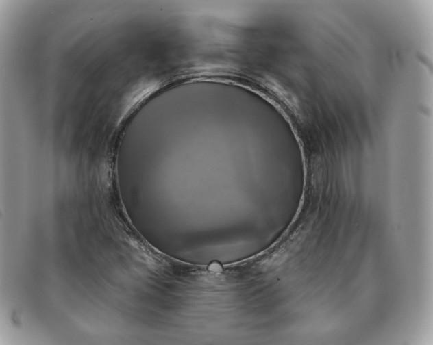 X0000091291405200708171334