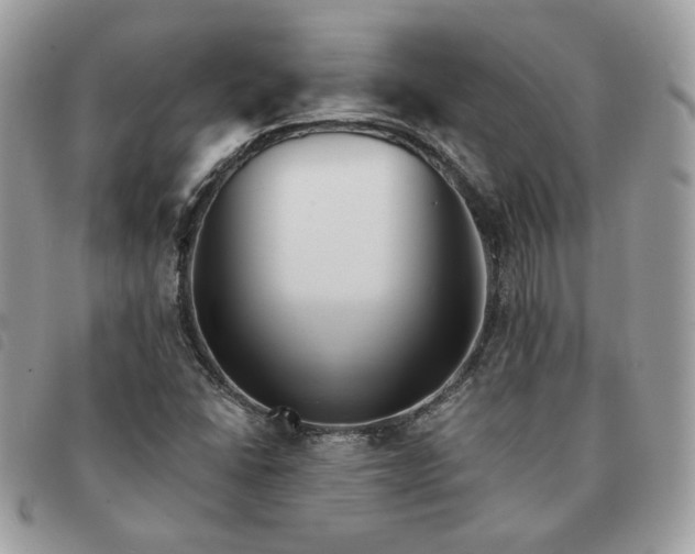 X0000091291406200708171334