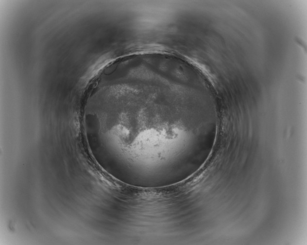 X0000091291407200708171334