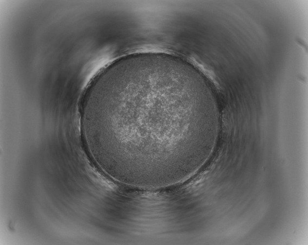 X0000091291408200708171334