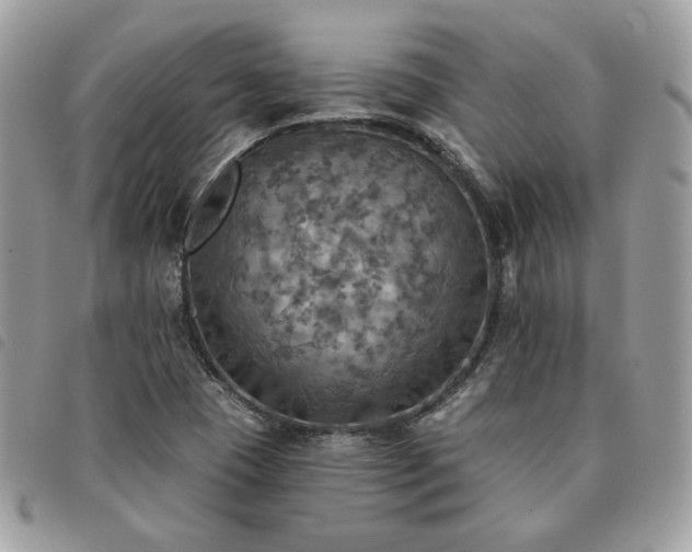 X0000091291409200708171334