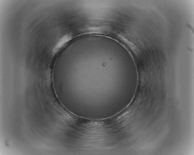 X0000091291411200708171334