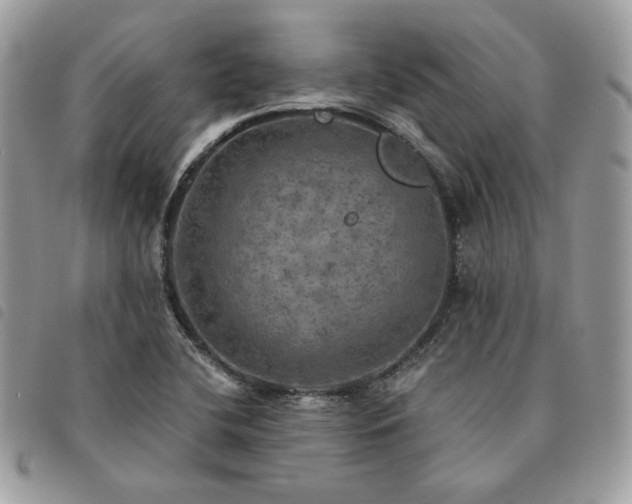 X0000091291412200708171334