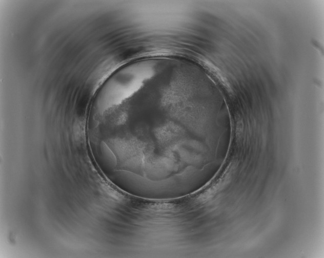 X0000091291417200708171334