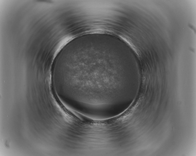 X0000091291418200708171334