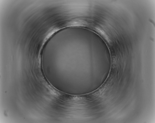 X0000091291419200708171335