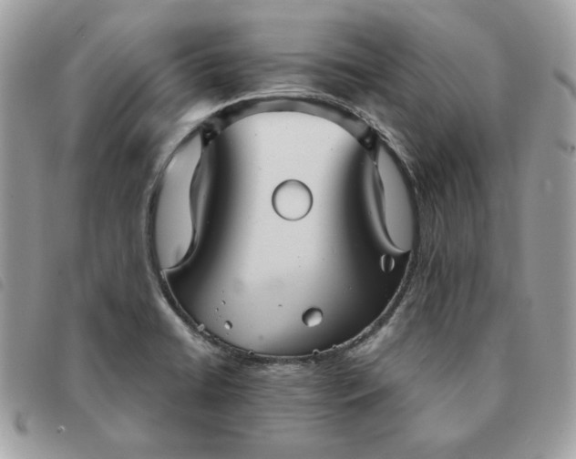 X0000091291422200708171335