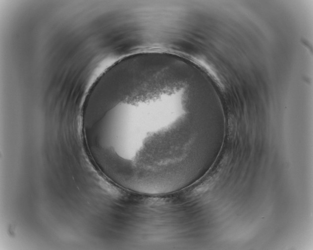 X0000091291424200708171335