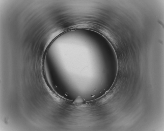 X0000091291426200708171335