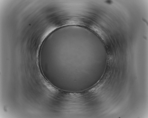 X0000091291427200708171335