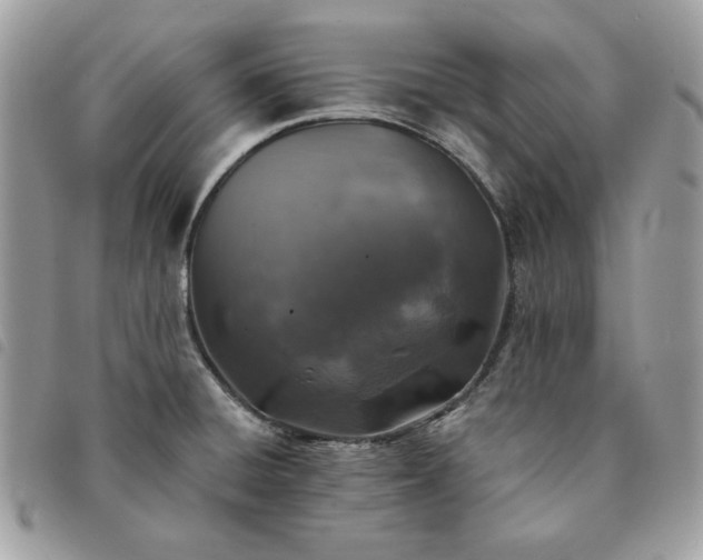 X0000091291428200708171335