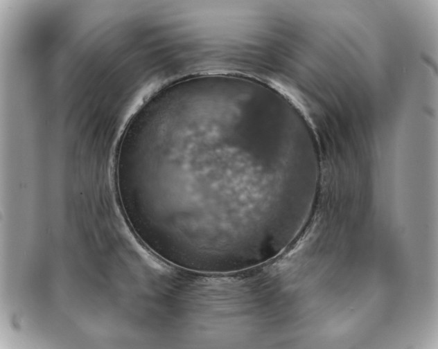 X0000091291429200708171335