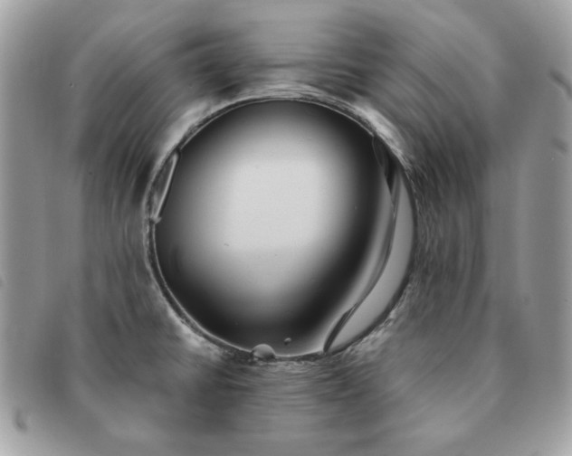 X0000091291430200708171335