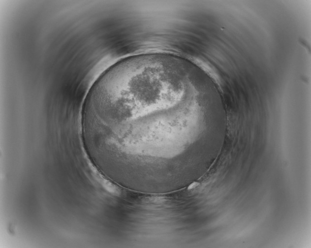 X0000091291431200708171335