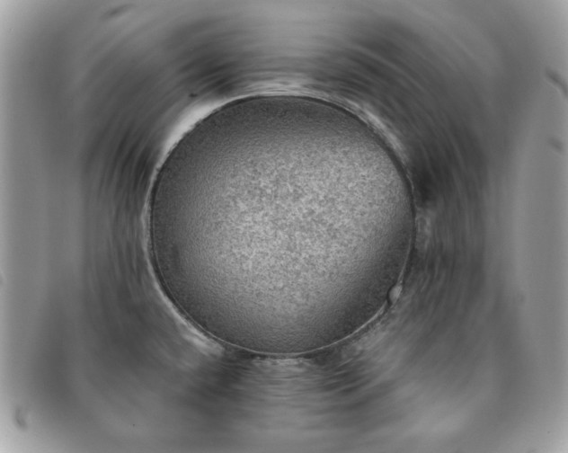 X0000091291432200708171335