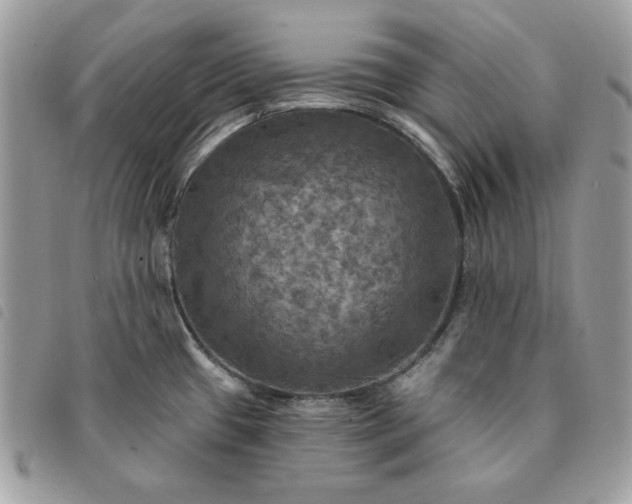 X0000091291433200708171335