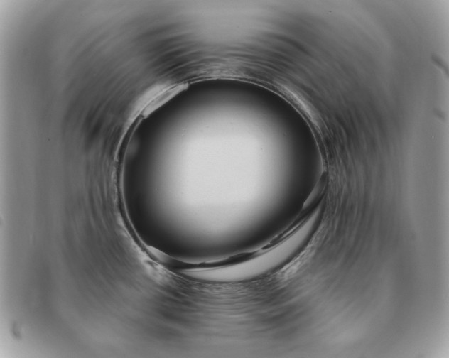 X0000091291434200708171335