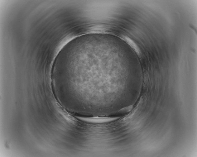 X0000091291435200708171335