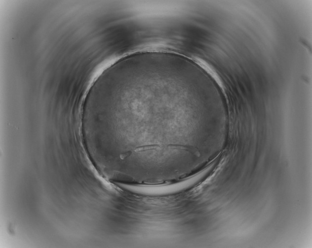 X0000091291437200708171335