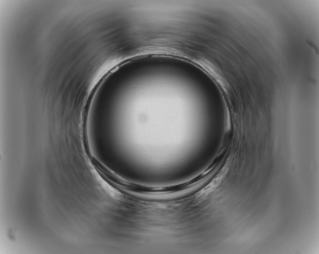 X0000091291438200708171335