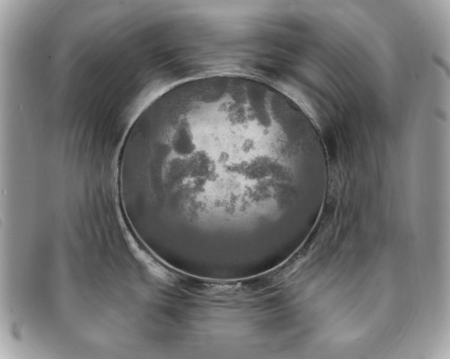 X0000091291439200708171335