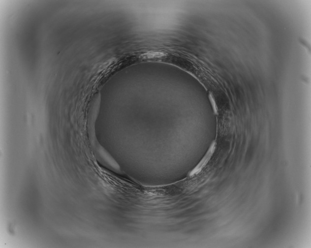 X0000091291441200708171334