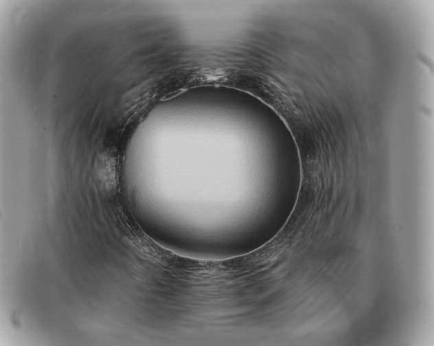 X0000091291442200708171334