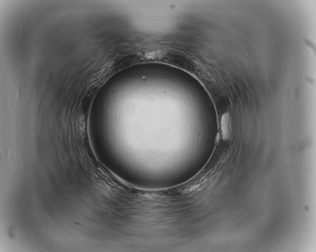 X0000091291443200708171334