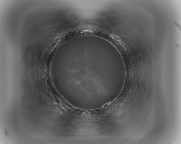 X0000091291445200708171334