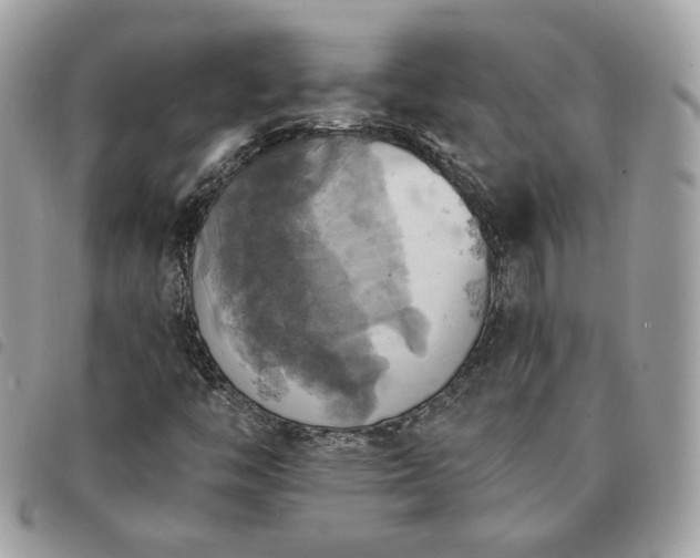 X0000091291446200708171334