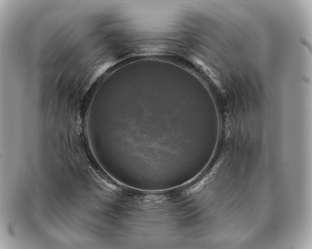 X0000091291449200708171334