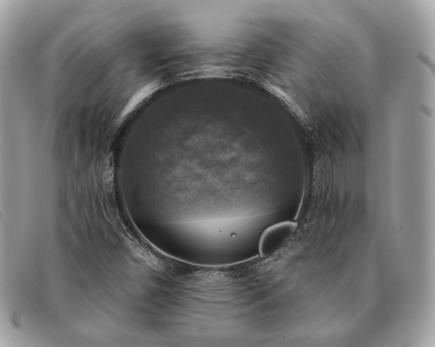 X0000091291450200708171334