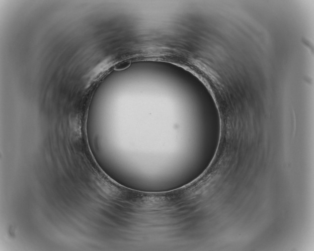 X0000091291451200708171334