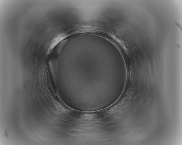 X0000091291453200708171334