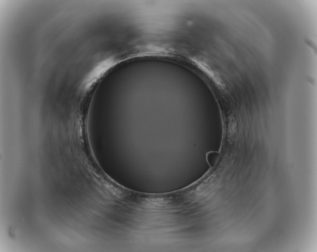 X0000091291455200708171334