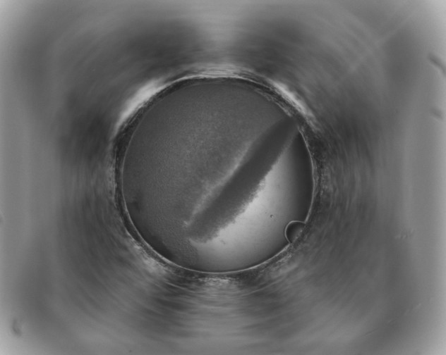 X0000091291456200708171334