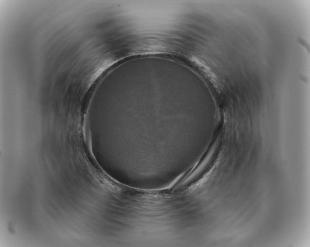 X0000091291457200708171334